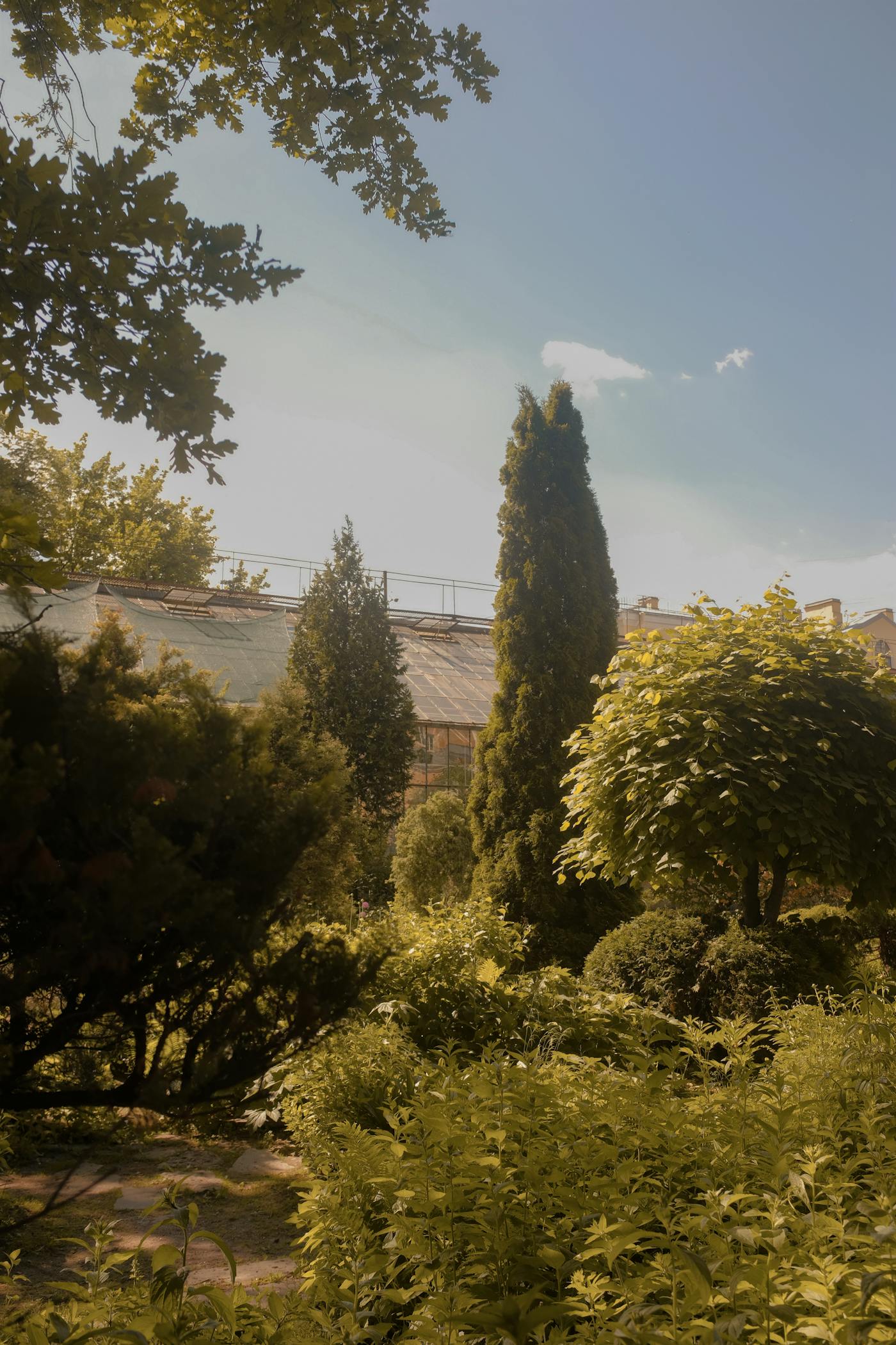 Jardin paysager à Nice par Luna Paysage